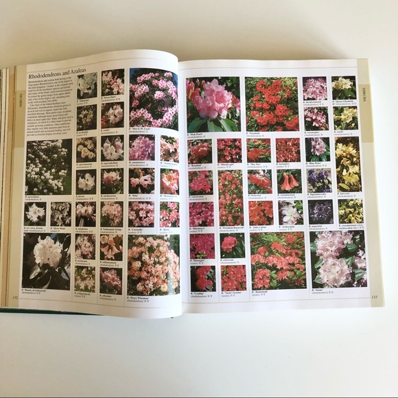 New Encyclopedia of Plants and Flowers The Royal Horticultural Society Book - Picture 9 of 13